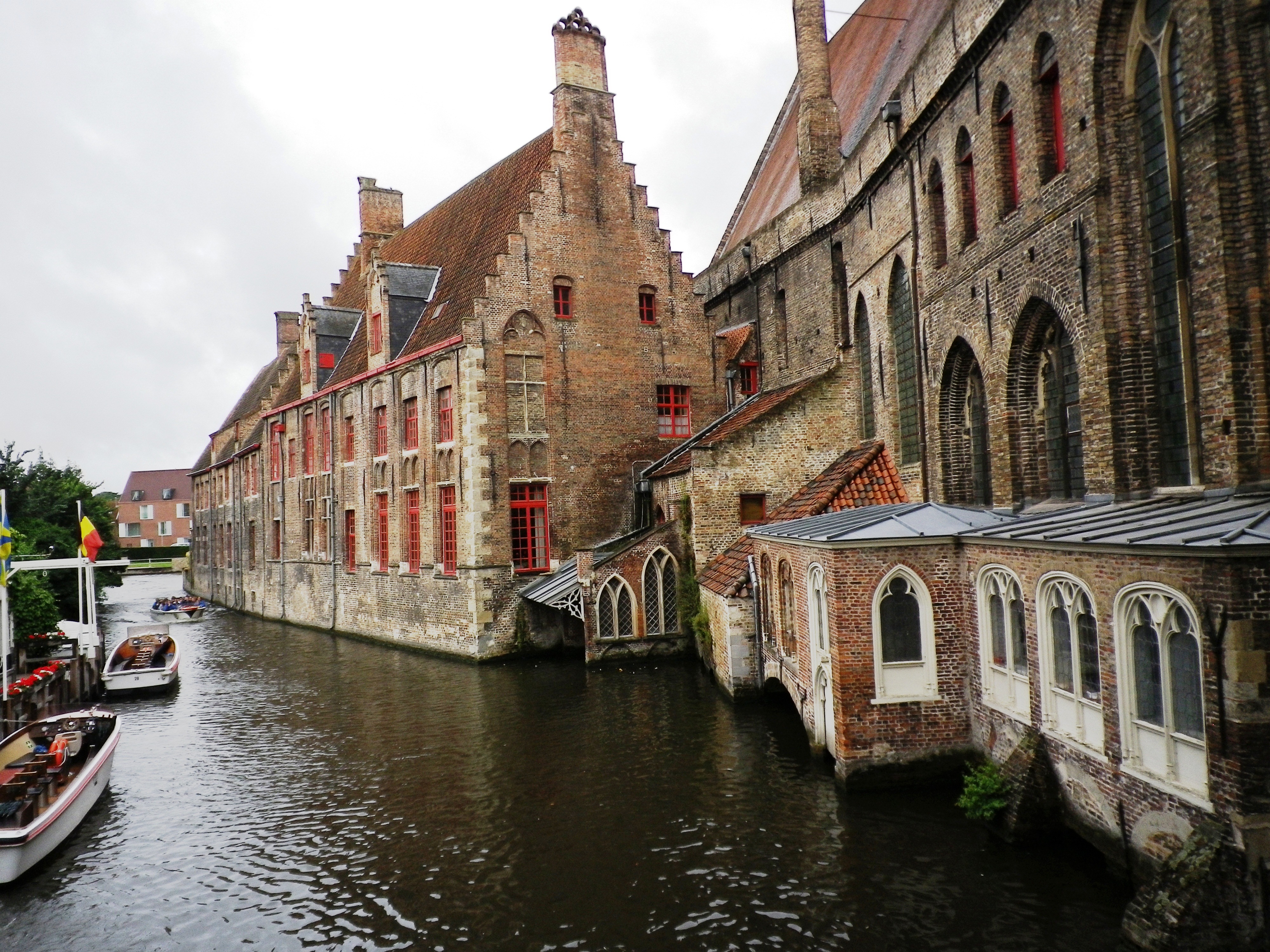 IMGP3399